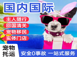 鄂托克旗乌兰航空快运国际宠物托运 【国